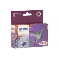 Epson C13T080640